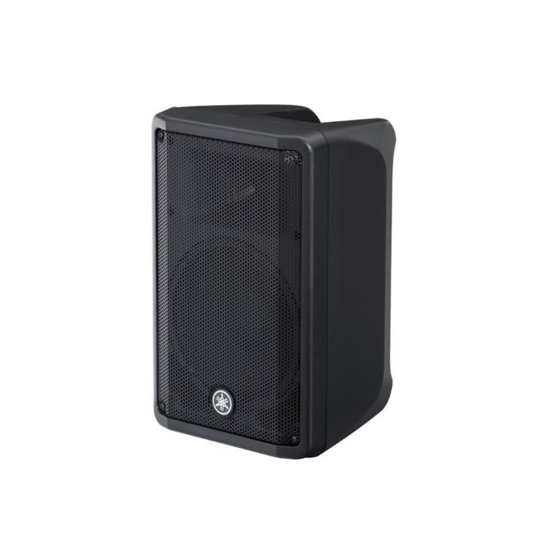 CASSA AMPLIFICATA 1X10 700W
