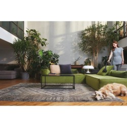 HOOVER TRAINO HP120PET 011