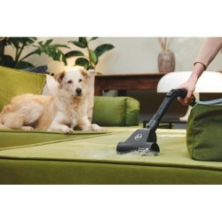 HOOVER TRAINO HP120PET 011