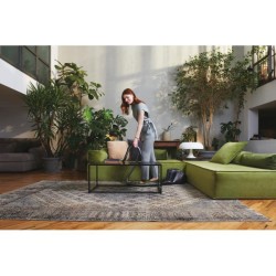 HOOVER TRAINO HP120PET 011