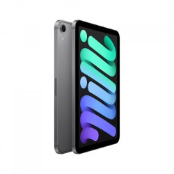 IPAD MINI WI-FI CL 256GB SP GR