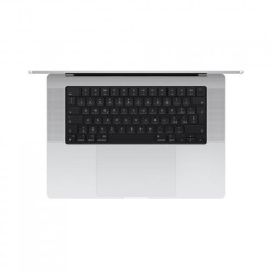 MBP 16 SL/16C/40C GPU/48GB/1T