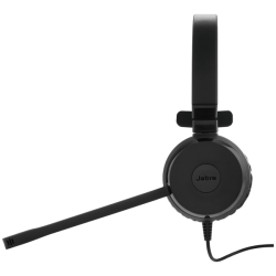 EVOLVE 20 MS MONO USB-A SE