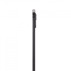 IPAD PRO 13 WF CL 2TB SP BLK NT