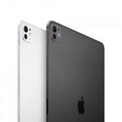 IPAD PRO 13 WF CL 2TB SP BLK NT