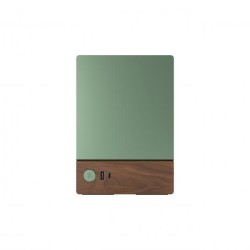 FRACTAL CASE MINI ITX TERRA JADE
