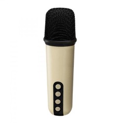 2MIC WITH RGB SPEAKER
