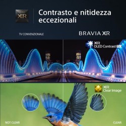SDS A80 65 OLED 4K GOOGLE TV