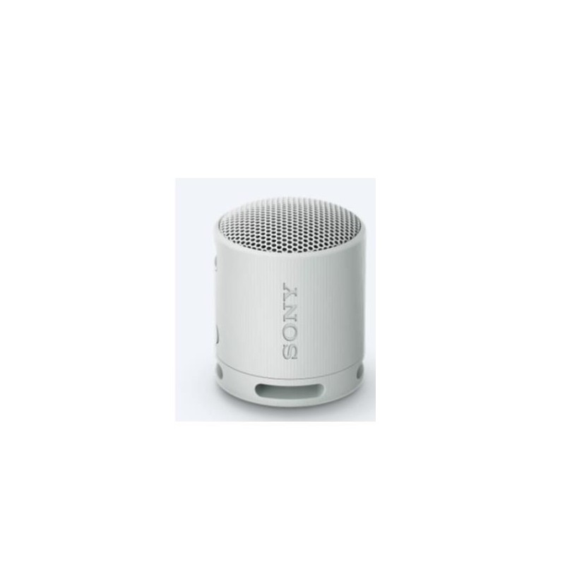 SRS-XB100 SPEAKER WRLS GRIGI0