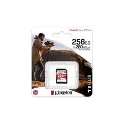 256GB CANVAS REACT PLUS SDXC U3 V60