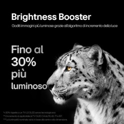 55 OLED EVO C4 4K UHD WEBOS24 BASEC
