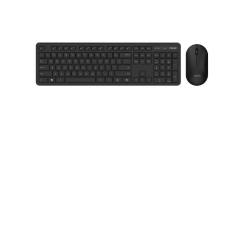 KITM+T/IT/WR/2.4GHZ COPILOT CW100