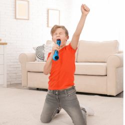 MICROPHONE WITH VOICE CONTROL LB