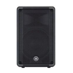 CASSA AMPLIFICATA 1X10 700W