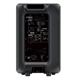 CASSA AMPLIFICATA 1X10 700W