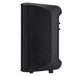 CASSA AMPLIFICATA 1X10 700W
