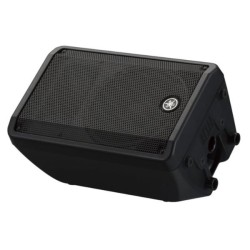 CASSA AMPLIFICATA 1X10 700W