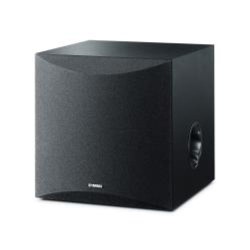 SUBWOOF1R NS-SW100