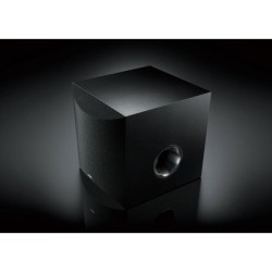 SUBWOOF1R NS-SW100
