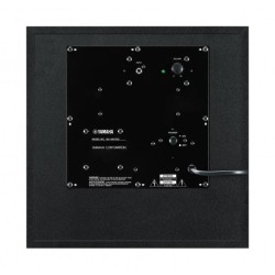 SUBWOOF1R NS-SW100