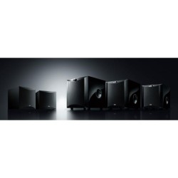 SUBWOOF1R NS-SW100