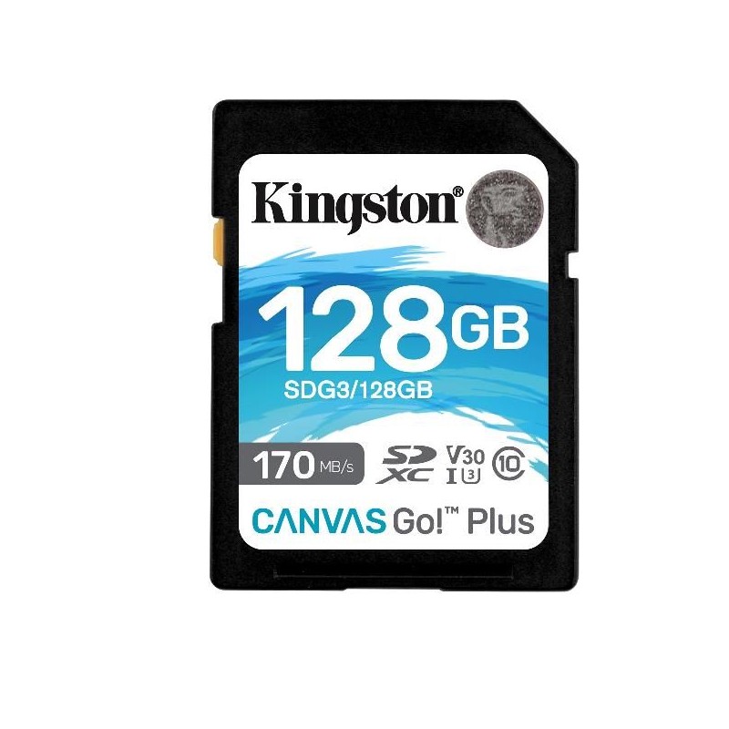 128GB SDXC CANVAS GO PLUS 170R