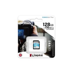 128GB SDXC CANVAS GO PLUS 170R