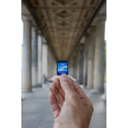 SECURE DIGITAL 16GB  - CLASS 10 -