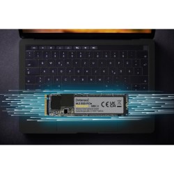 M.2 SSD PCIE PREMIUM 2 TB GEN 3X4