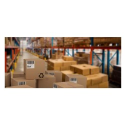 CF10000  ETICHETTE 37X14MM 100FF