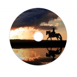 SPINDLE 25 DVD+R D.LAYER 8.5GB 8X