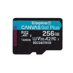256GB MICROSDXC CANVAS GO PLUS 4 +A