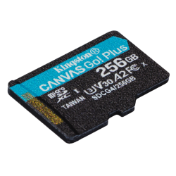 256GB MICROSDXC CANVAS GO PLUS 4 +A