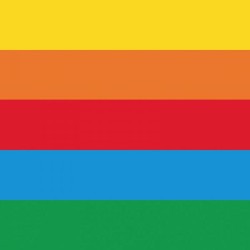 RISMA LE CIRQUE 80G MIX FORTI A4