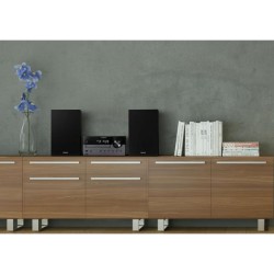 SISTEMA MUSICALE MICRO