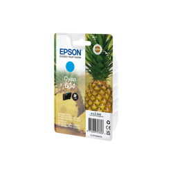 CARTUCCE INK ANANAS CYAN 604