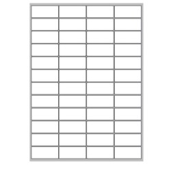 CF4800 ETICHETTE 52X24MM 100FF