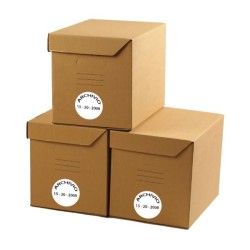 CF4800 ETICHETTE 52X24MM 100FF