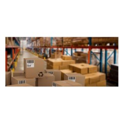 CF4800 ETICHETTE 52X24MM 100FF